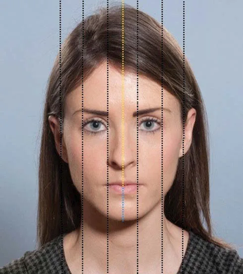 Fig 7. The horizontal fifths and the facial midline