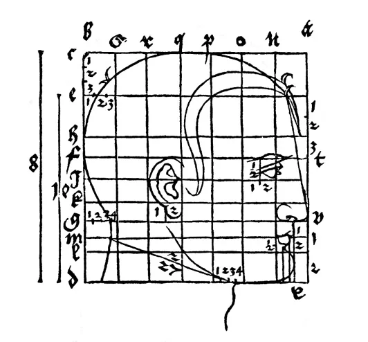 Fig 9. Dürer's craniofacial proportion grid