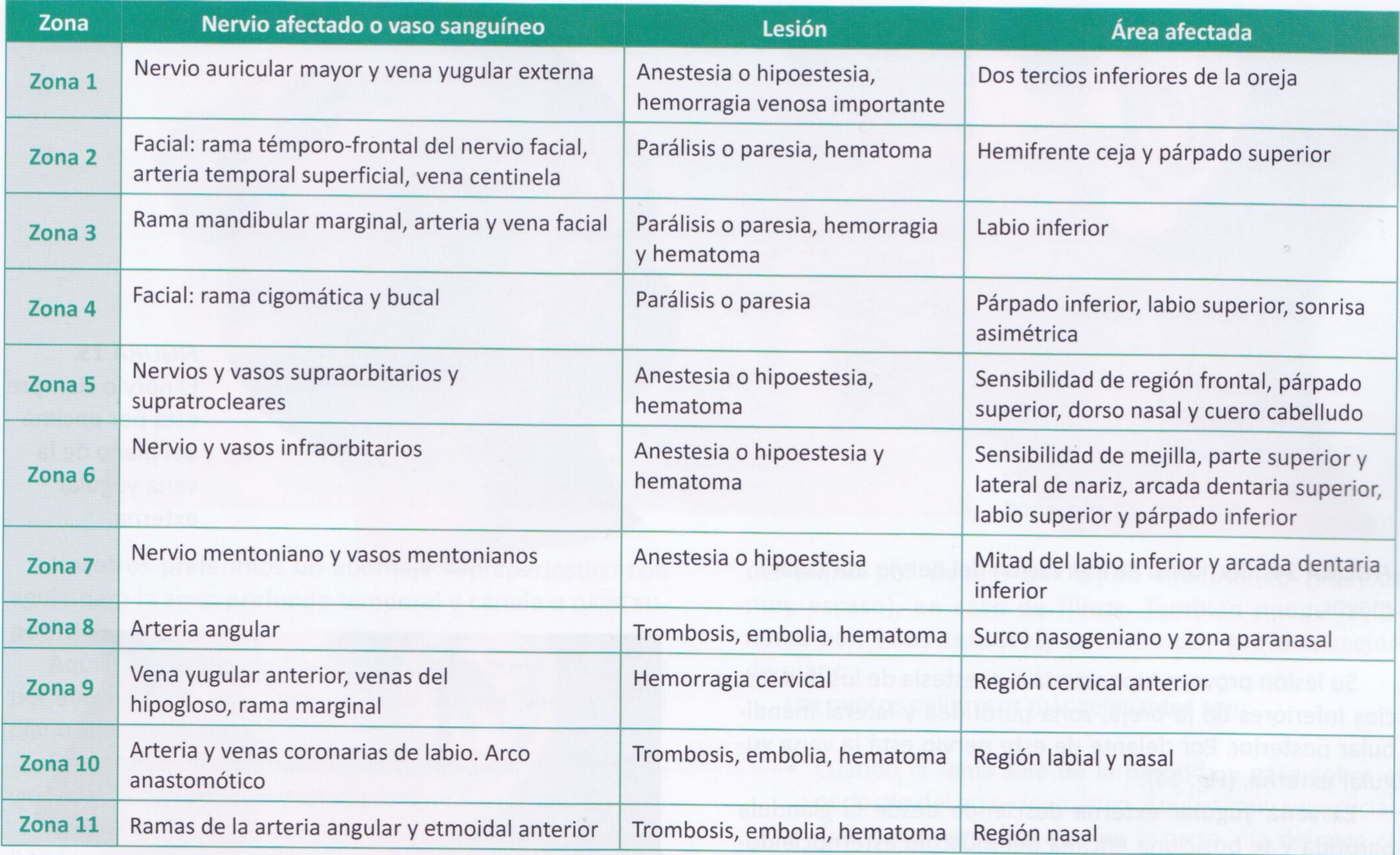 Fig D13-3. Facial danger-zone table. The three rows that govern the neck and its junction: Zona 1 = great auricular nerve and external jugular vein (anaesthesia of the lower two-thirds of the ear, significant venous haemorrhage); Zona 3 = marginal mandibular ramus with facial artery and vein (lower-lip palsy, haematoma); Zona 9 = anterior jugular vein, hypoglossal veins and marginal ramus (cervical haemorrhage).